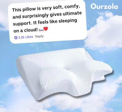 Contour Relief Pillow